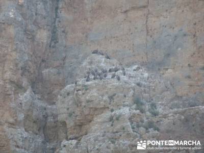 RUTA DE PIRAGÜISMO EN CANOA Y PIRAGÜA - HOCES DEL RÍO DURATÓN; excursion a madrid